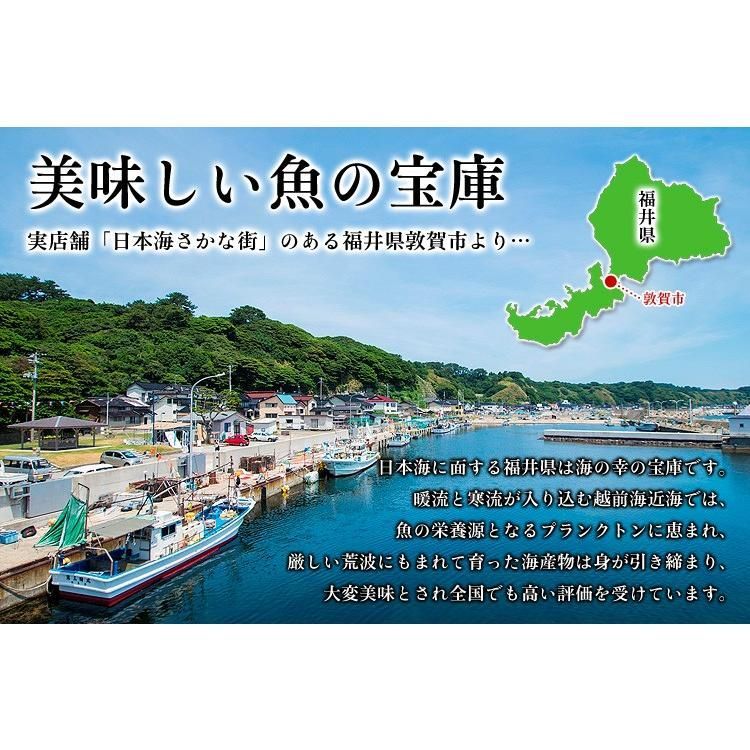 イカ はたはた