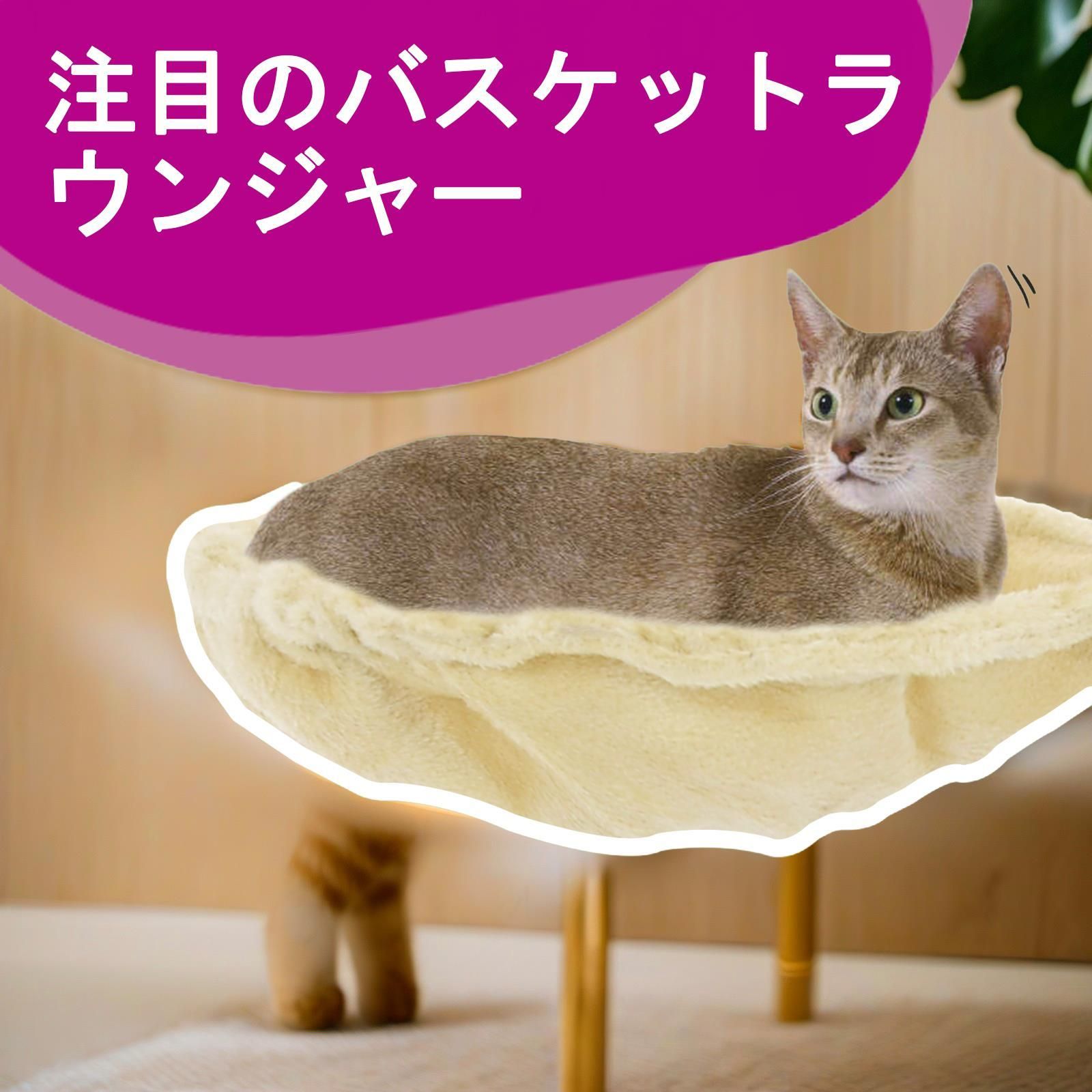 猫が引っ掻いて遊ぶため