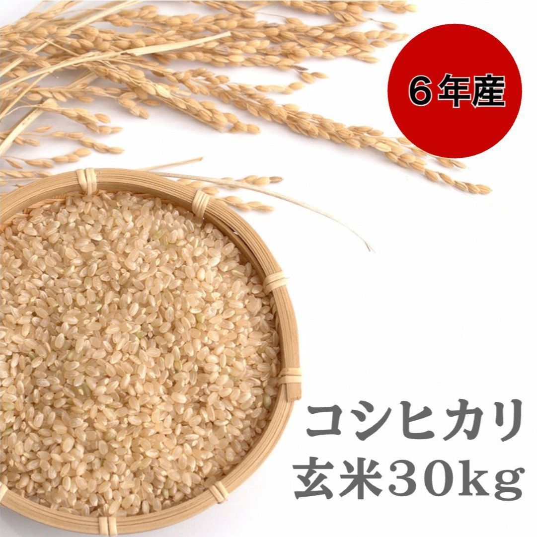 ⚫︎令和6年産⚫︎ み 長野県産コシヒカリ お米30キロ 玄米正味28.5キロ