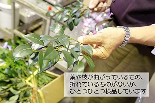 防汚作用 加工済