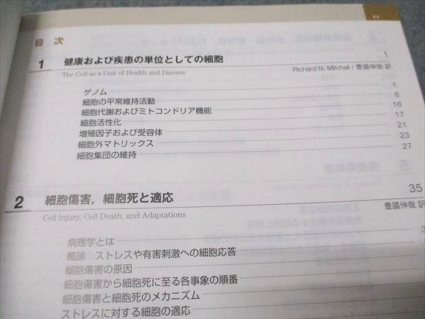 エルゼビアジャパン ロビンス 基礎病理学 原書10版 2021 Kumar/Abbas/Aster 037M3D エルゼビアジャパン ロビンス 基礎病理学 原書10版 2021 Kumar