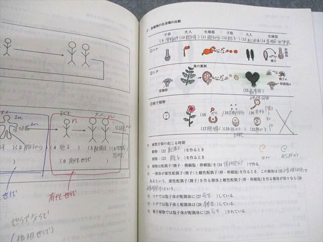 代ゼミ 大堀求の生物(生態系・進化・系統分類/センター試験