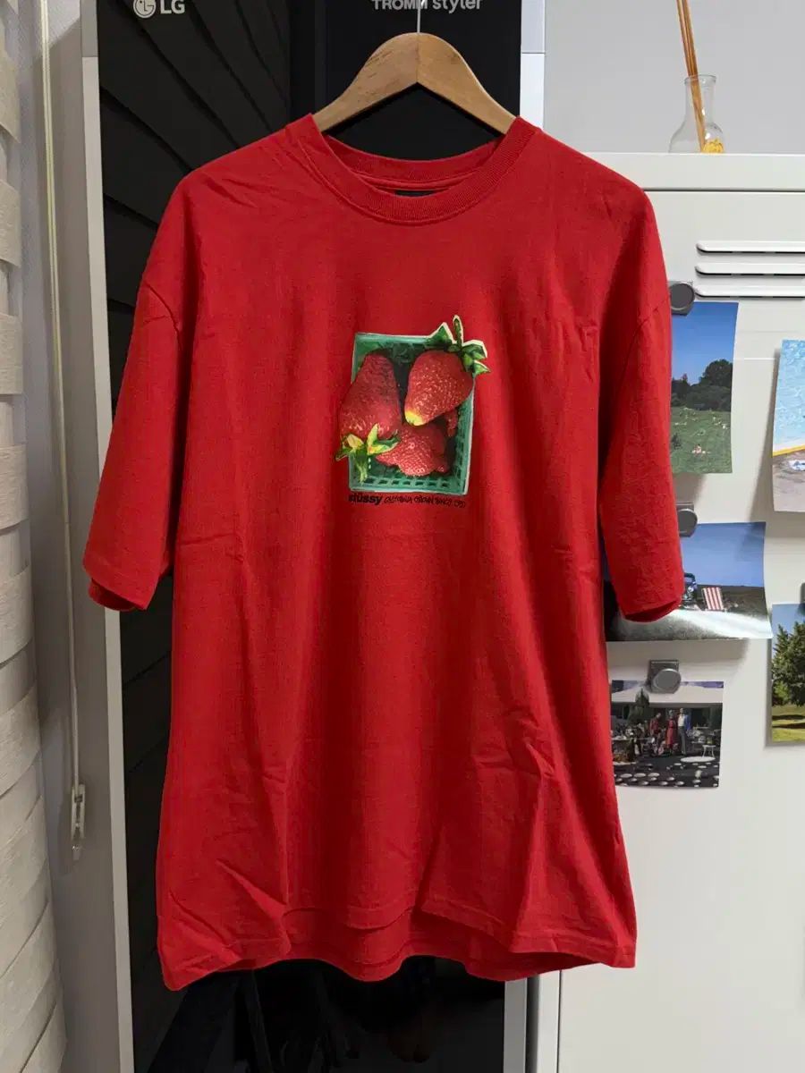 STUSSY ステューシー 半袖 XL サイズ