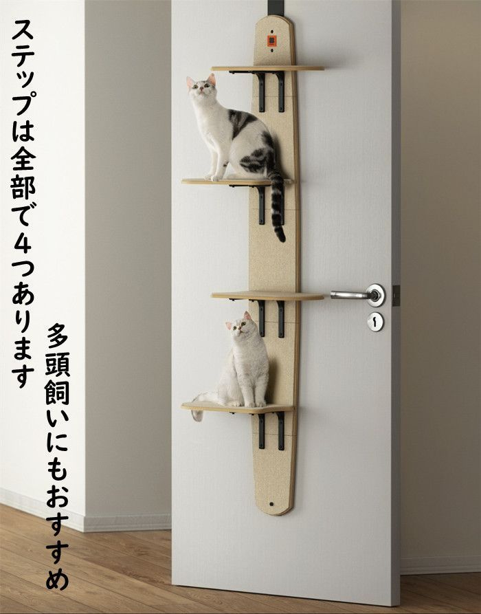 耐荷重10キロ