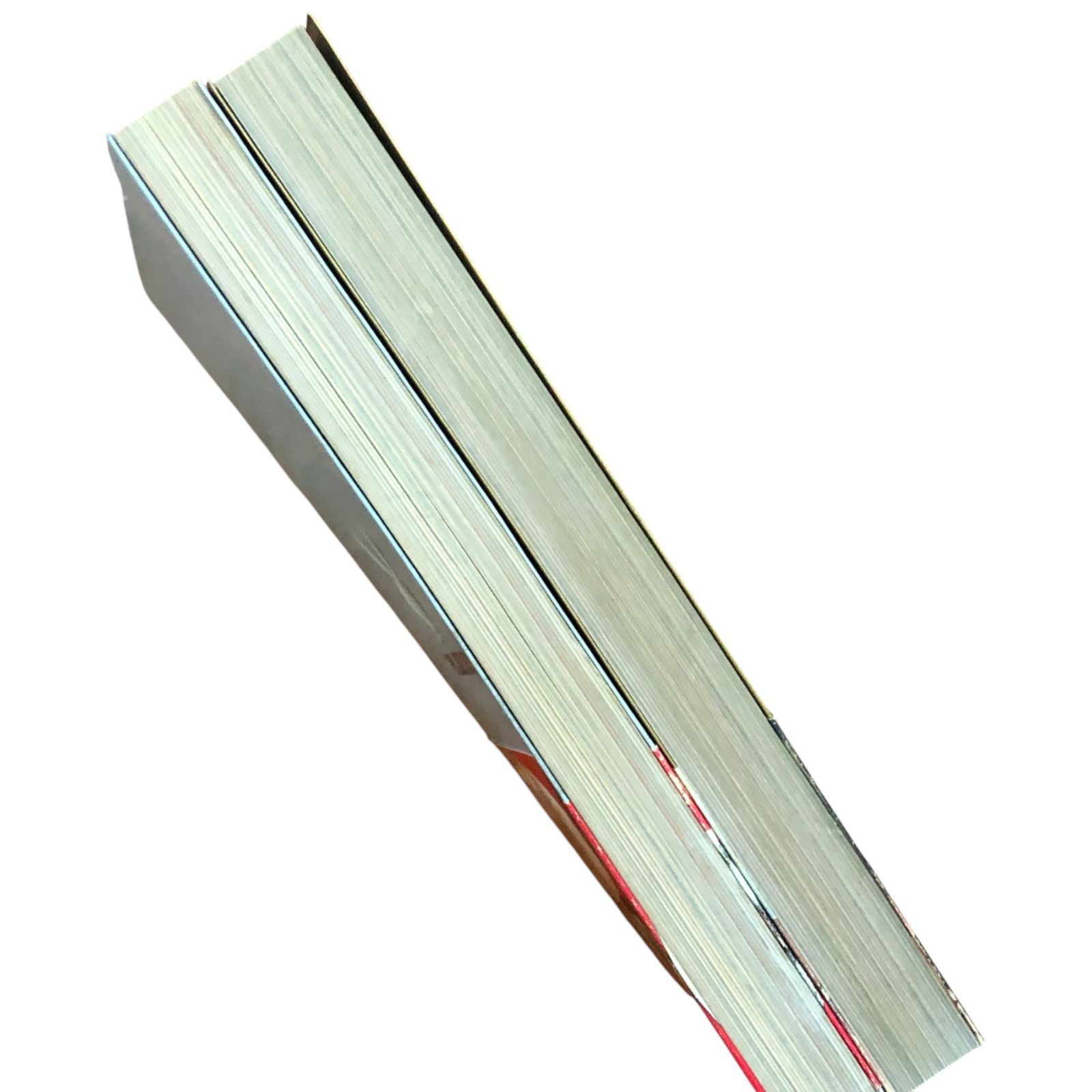 プレイボーイまとめ売り PLAYBOY 日本版特別編集 プレイメイト312 PART2 2冊セット 池孝