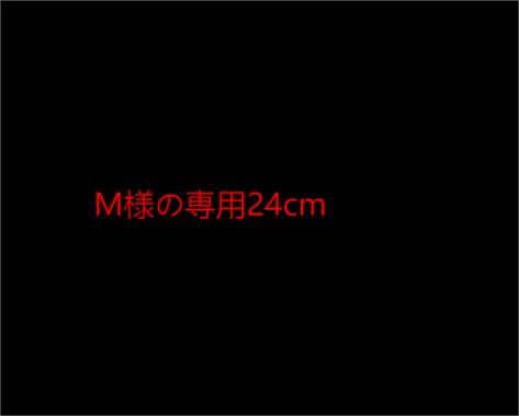 M様の専用24cm - メルカリ