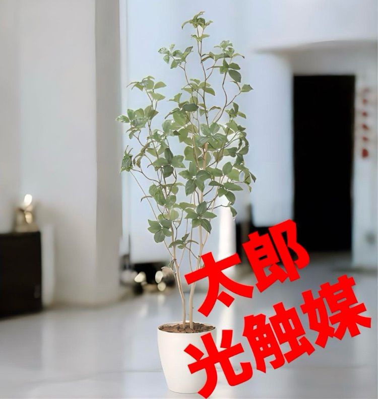 光触媒 人工観葉植物 ウォールグリーン フェイクグリーン サラサ