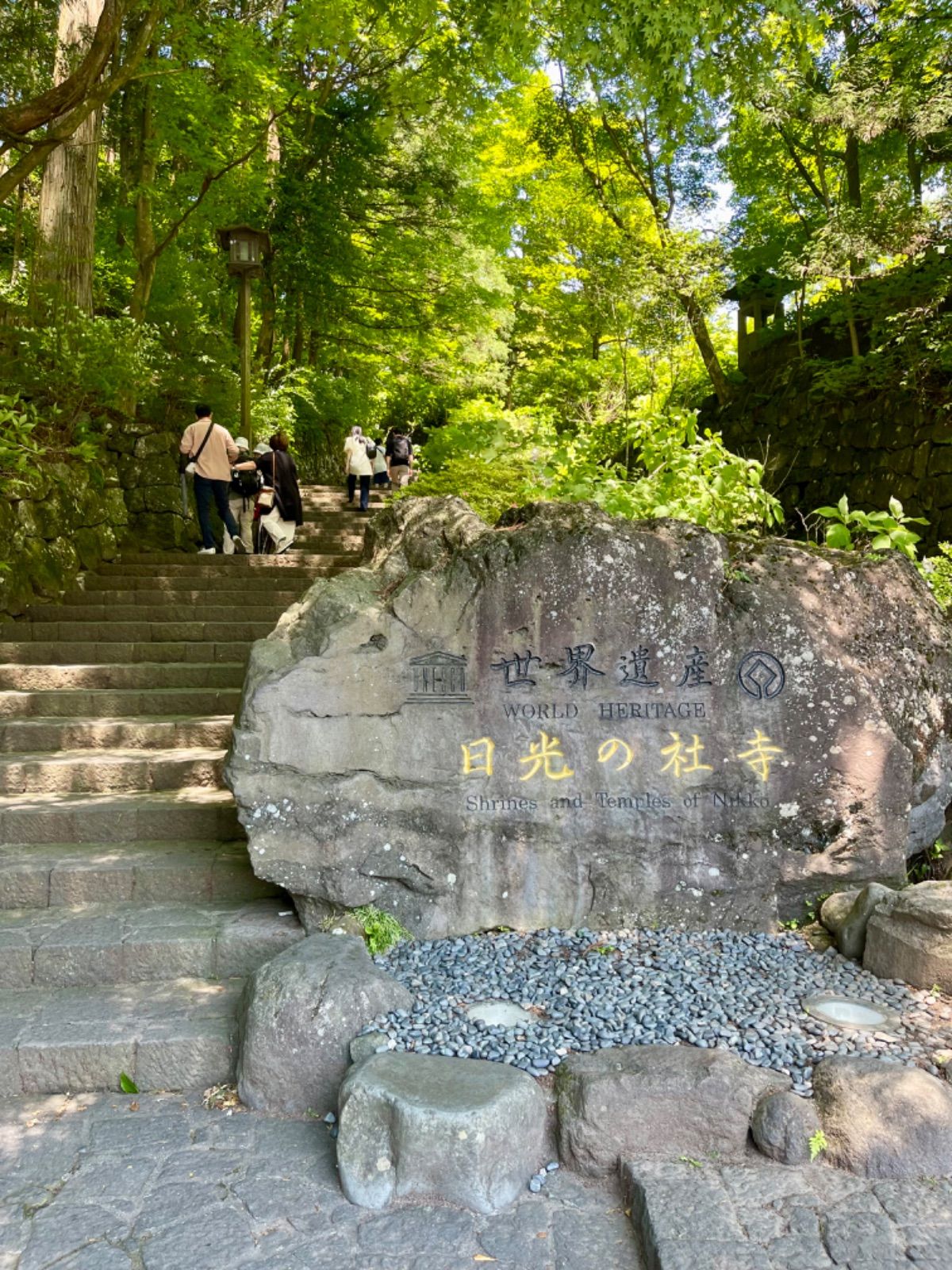 日光山 輪王寺 護摩堂 御朱印帳 ｢大昇竜｣Nikko-san Rinnouji-temple : Gomadou Gosyuincyou｢DAISYOURYU｣