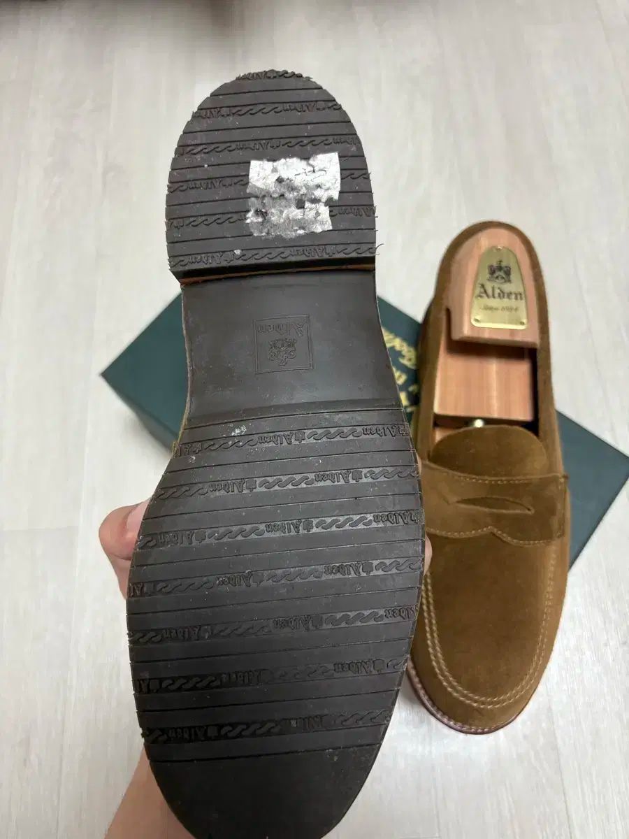 オールデン 6221