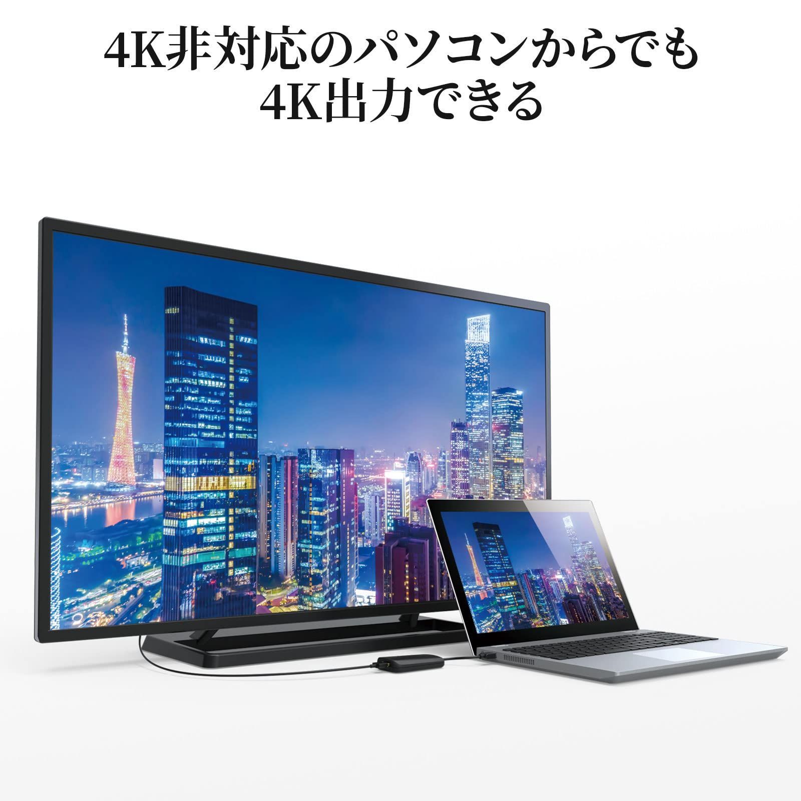 オス-DisplayPort Aコネクタ