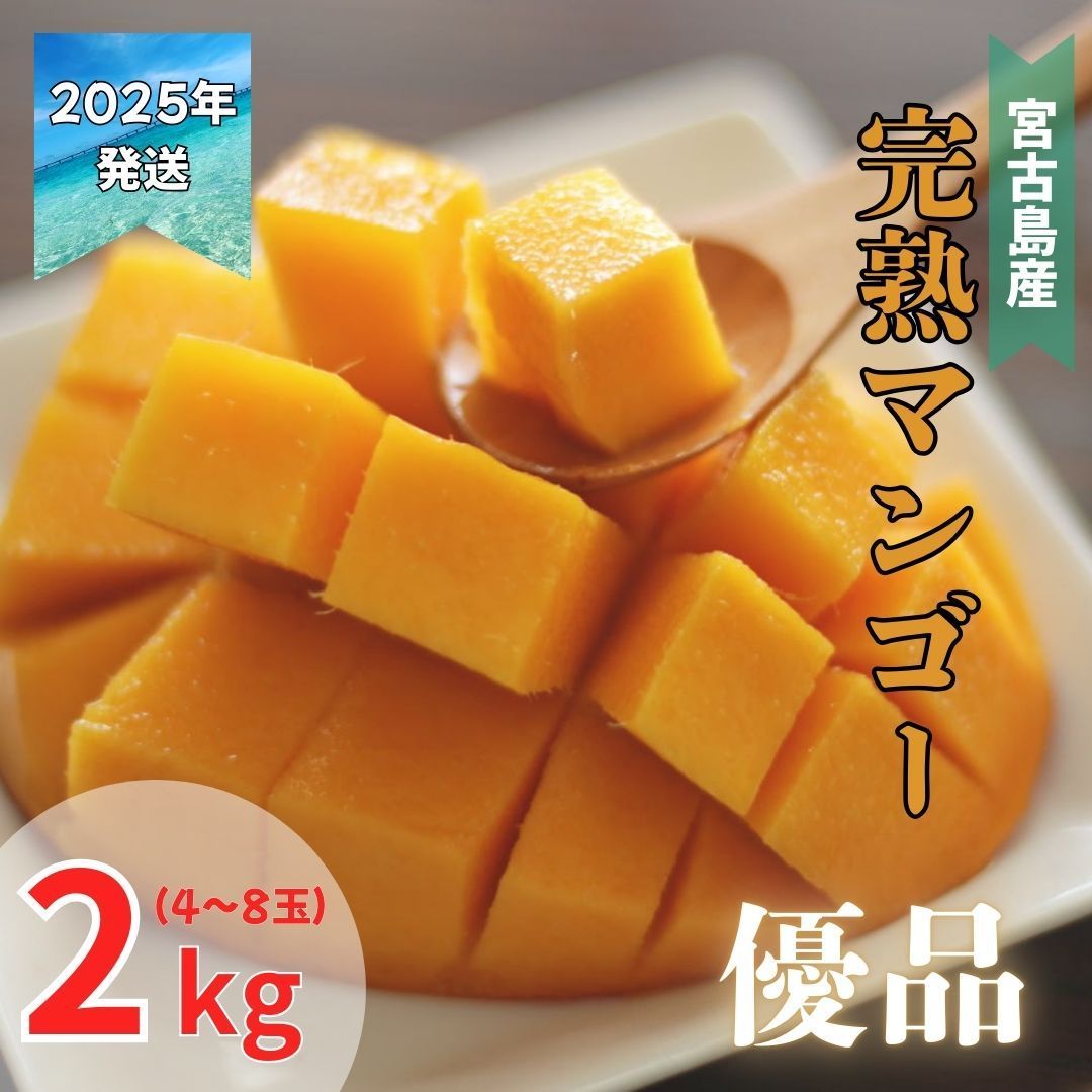 予約商品 宮古島産 完熟マンゴー 優品 4～8玉 2キロ 7月頃発送