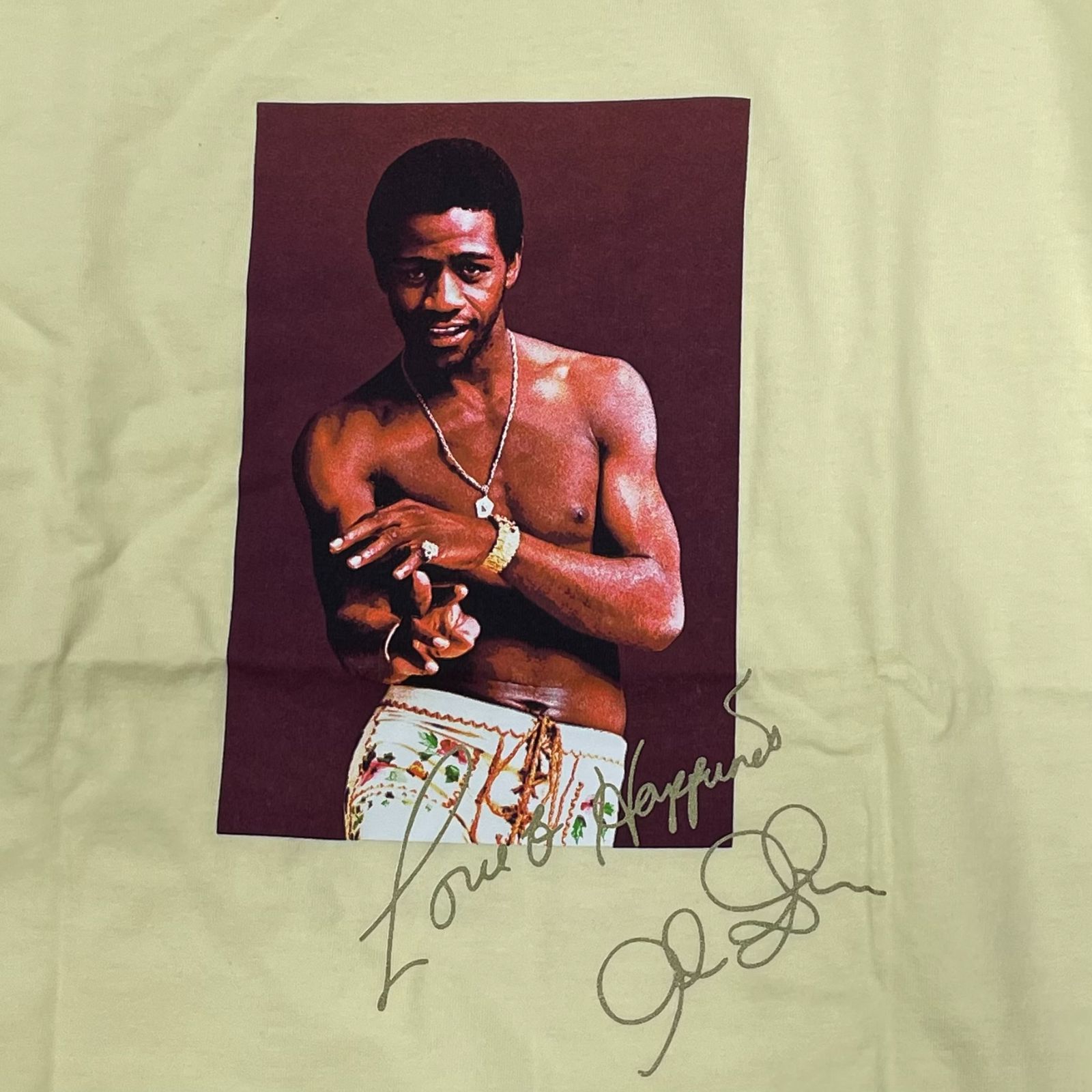 国内正規 未使用 Supreme 22SS Al Green Tee アル グリーン Tシャツ