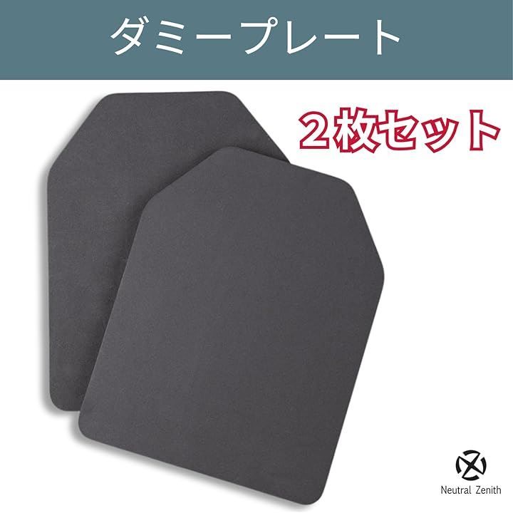 teamWendy トレーニングプレート ダミープレート 2枚セット サバゲー チームウェンディ TEAM WENDY リアルウェイトダミープレート 2