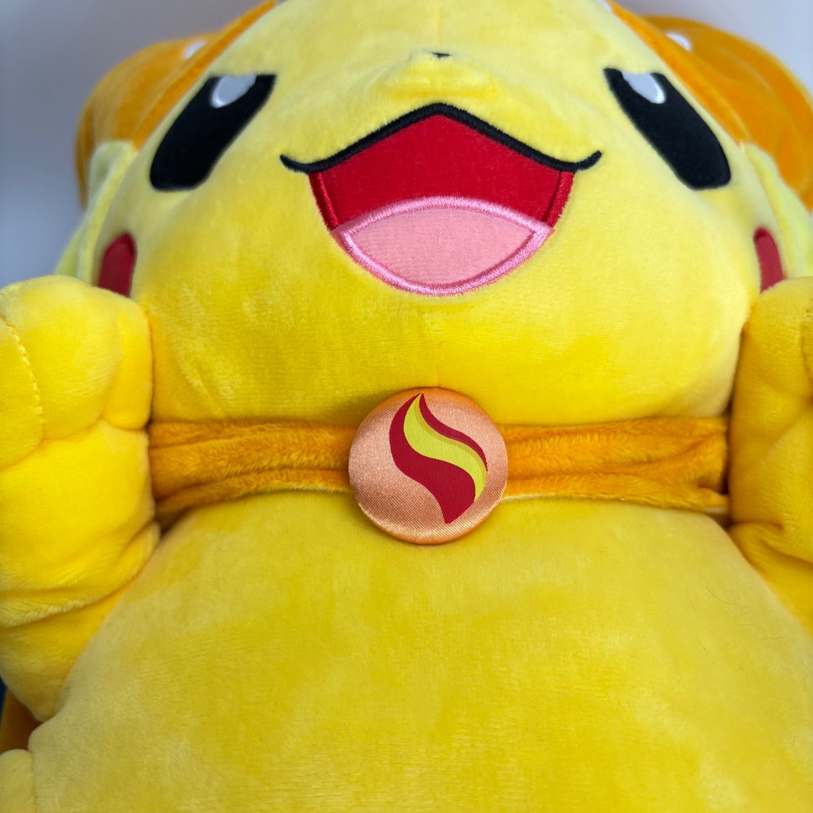 タグ付き】約55cm ピカチュウ メガリザードンY Ver