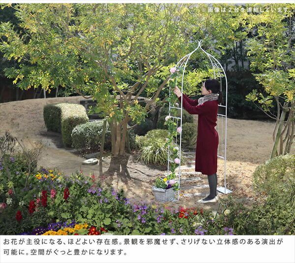 プランターセット