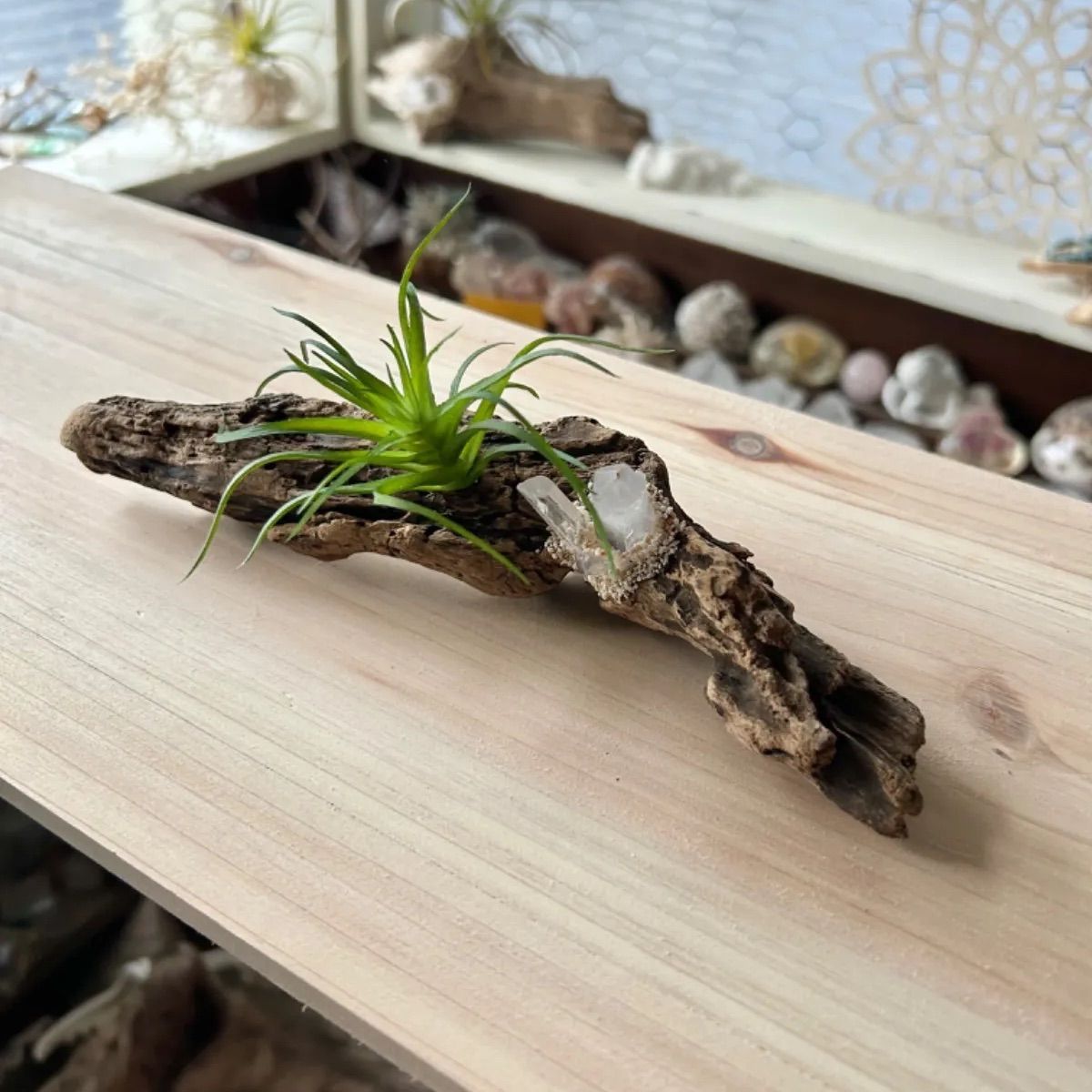 6-069 流木プランツ 流木アレンジ 流木インテリア 観葉植物 造花 6-069 流木プランツ 流木アレンジ 流木インテリア 観葉植物 造花