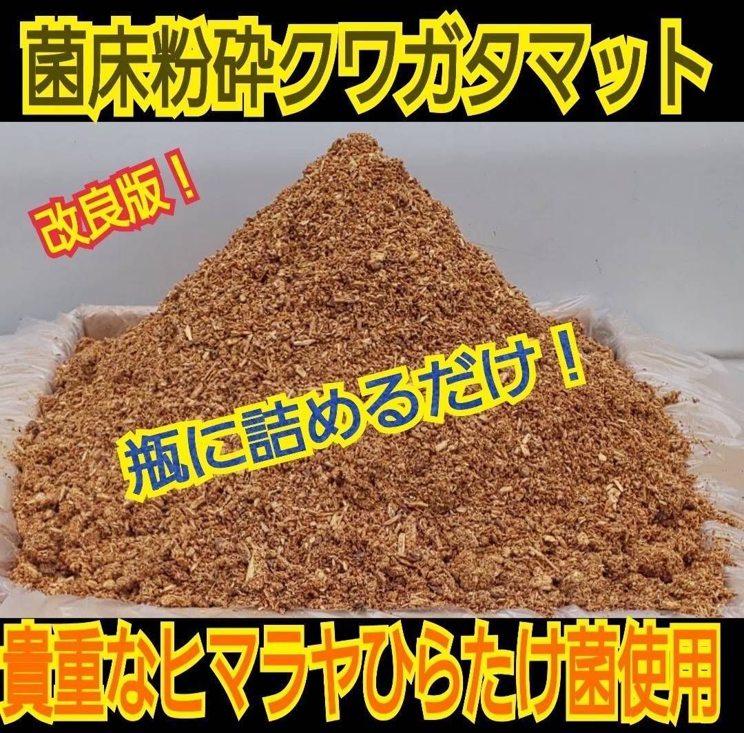 クワガタ幼虫が大きくなる！ヒマラヤひらたけ菌床粉砕マット【5リットル】瓶に詰めるだけ - メルカリ