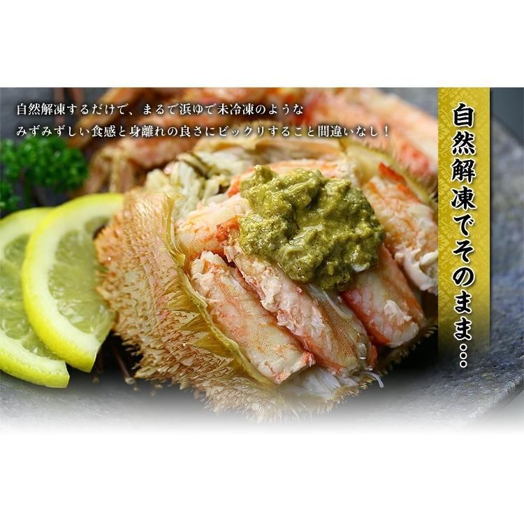 毛蟹