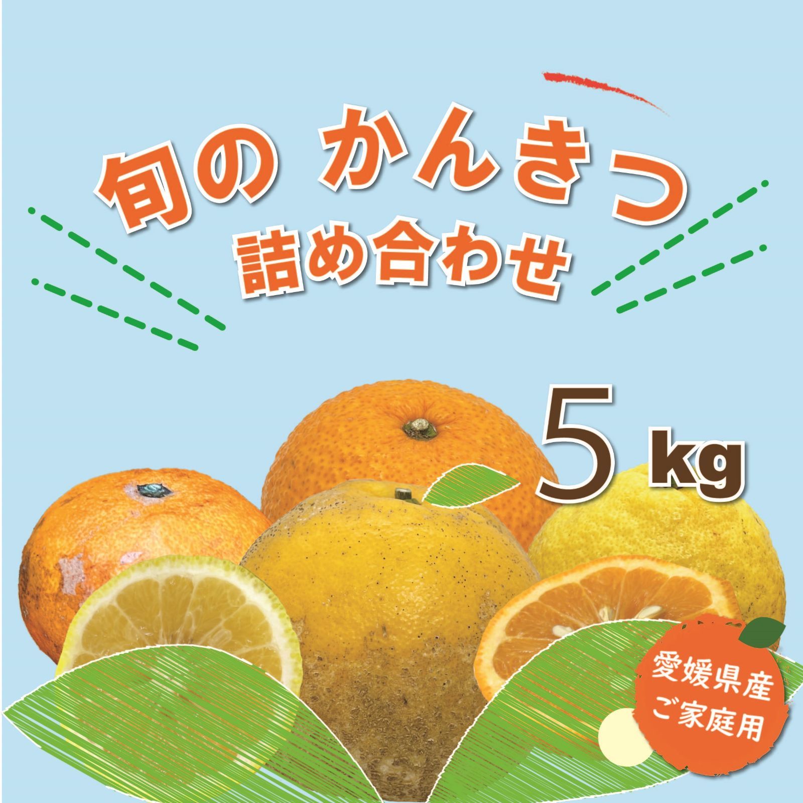 【超お買い得】愛媛県産　訳あり旬の柑橘詰め合わせ５ｋｇ補償有-0