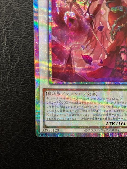 遊戯王　黒薔薇と荊棘の魔女　プリズマシク、シークレット3枚 遊戯王 黒薔薇と荊棘の魔女 プリズマシク、シークレット3枚