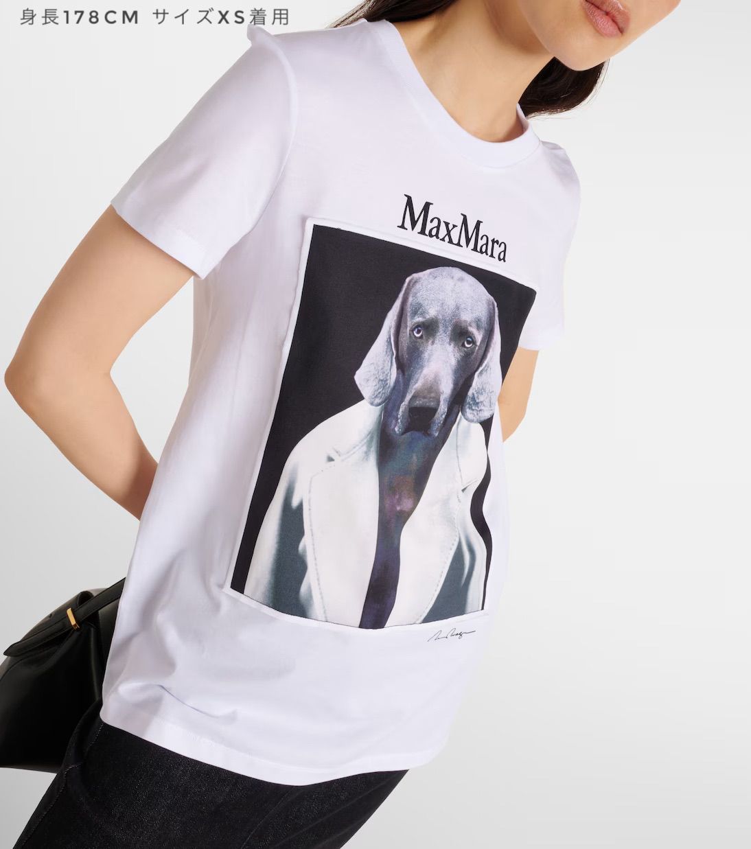 MAX MARA CIPRIA[チプリア] ピュア コットン ジャージー Tシャツ 楽天市場】MAX MARA マックスマーラ 半袖 Tシャツ CIPRIA