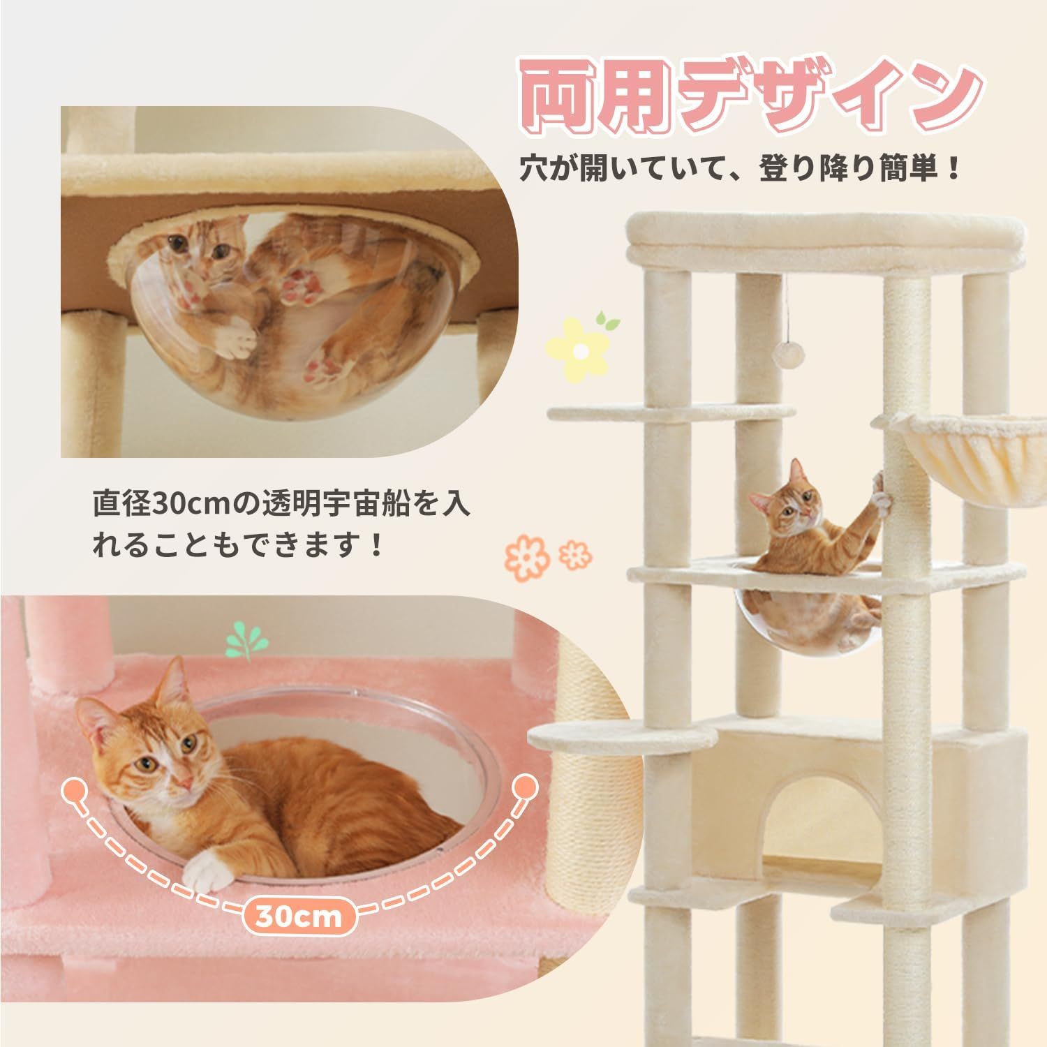 安定 頑丈