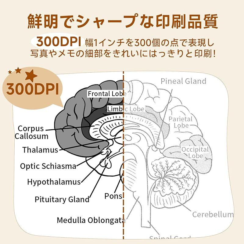 ステッカー プリンター
