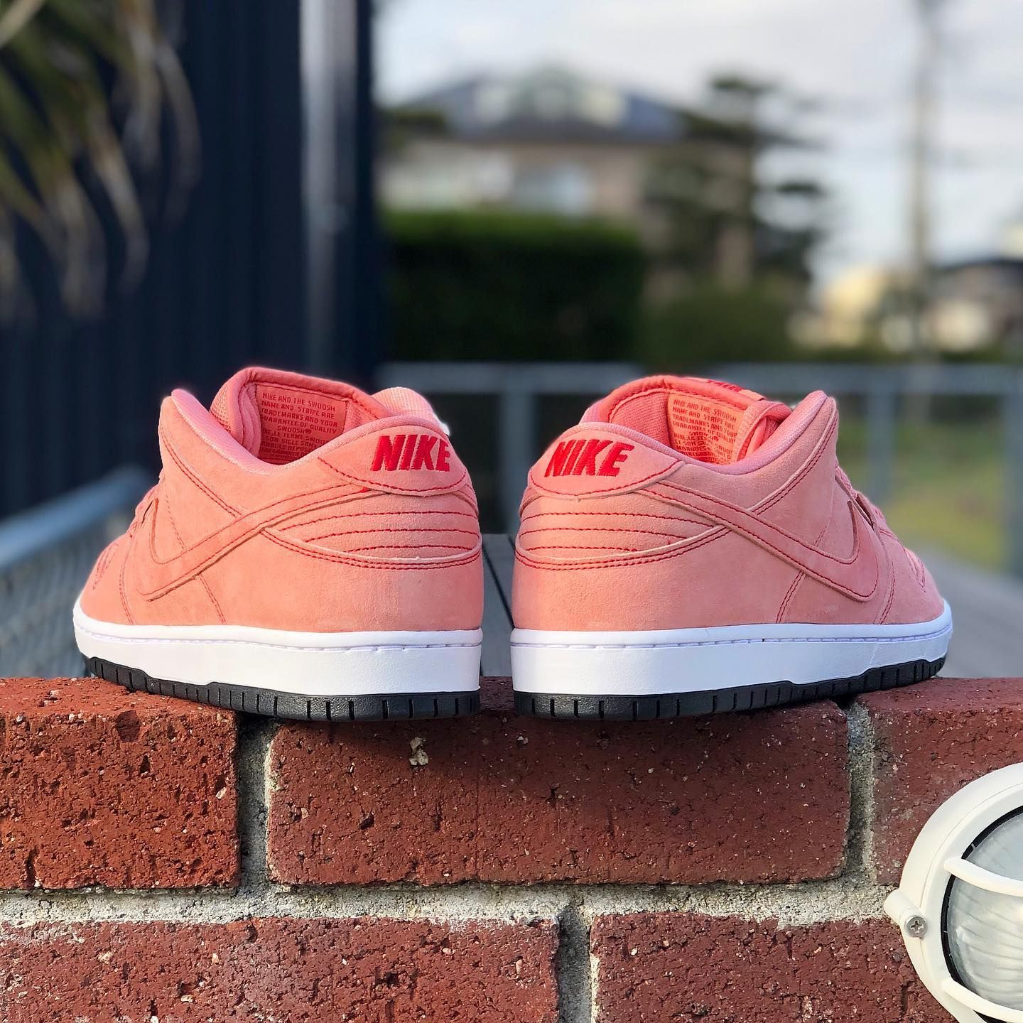 NIKE SB DUNK LOW PRO 