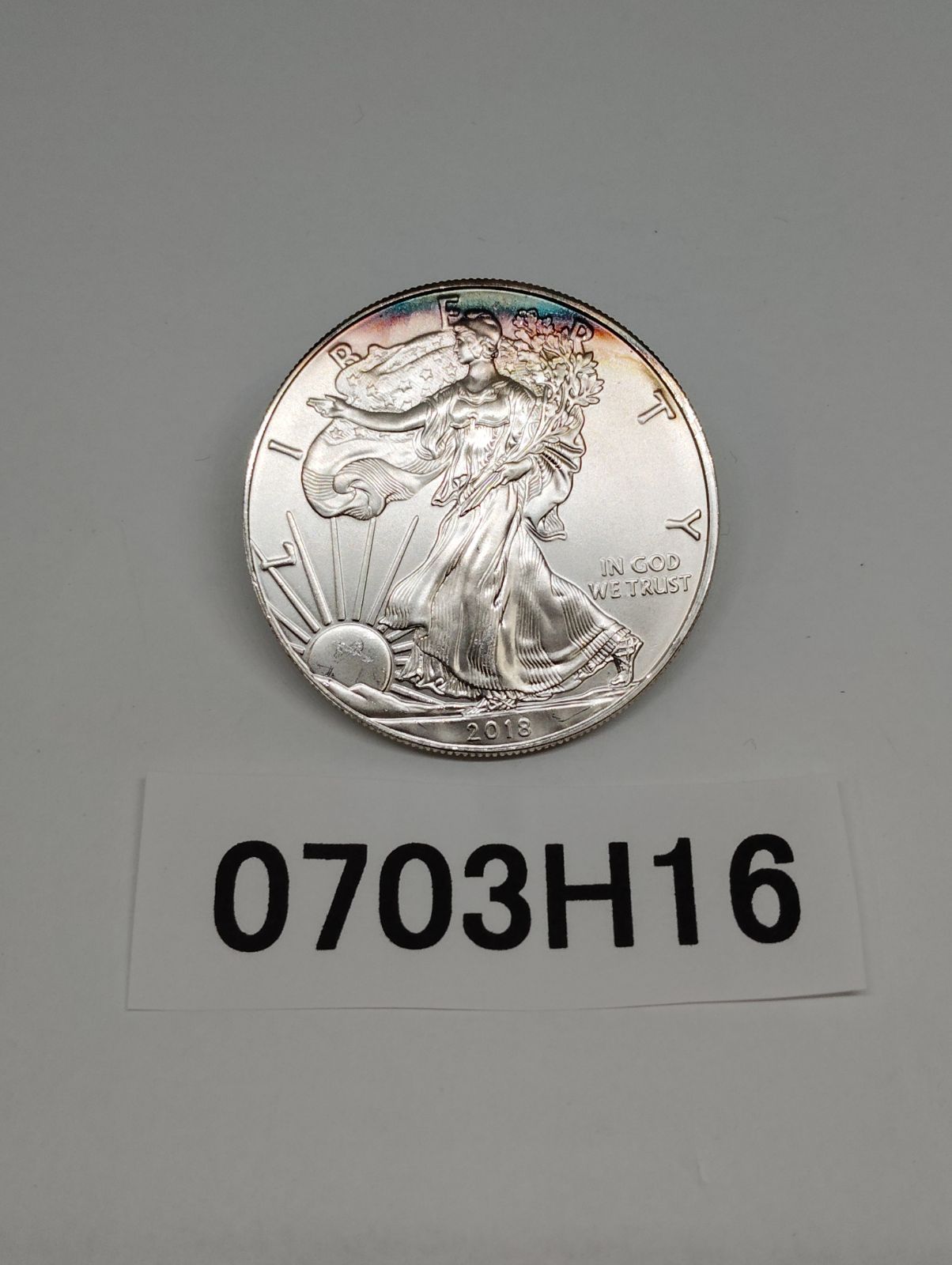 1996年 ウォーキングリバティ銀貨 1ドル 経典 1996年 アメリカ イーグル銀貨 ウォーキングリバティ 1ドル
