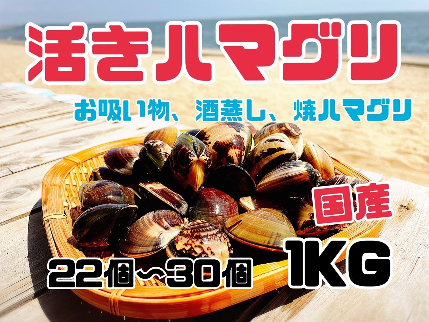 【中古】 ＧＯＬＤ 凄絶・大阪喧嘩最前線！！編/少年画報社/山本隆一郎 GOLD 凄絶・大阪喧嘩最前線！！編 / 山本 隆一郎 / 少年画報社