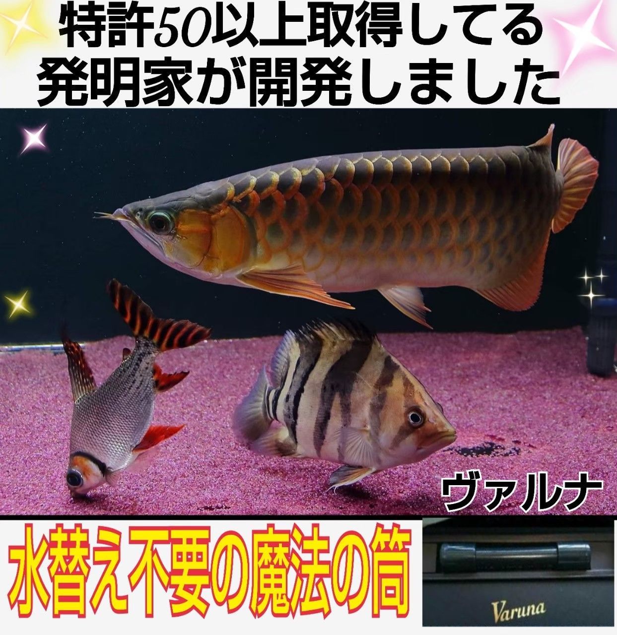 ヴァルナミニ23センチ水槽の透明度が抜群に！有害物質強力抑制