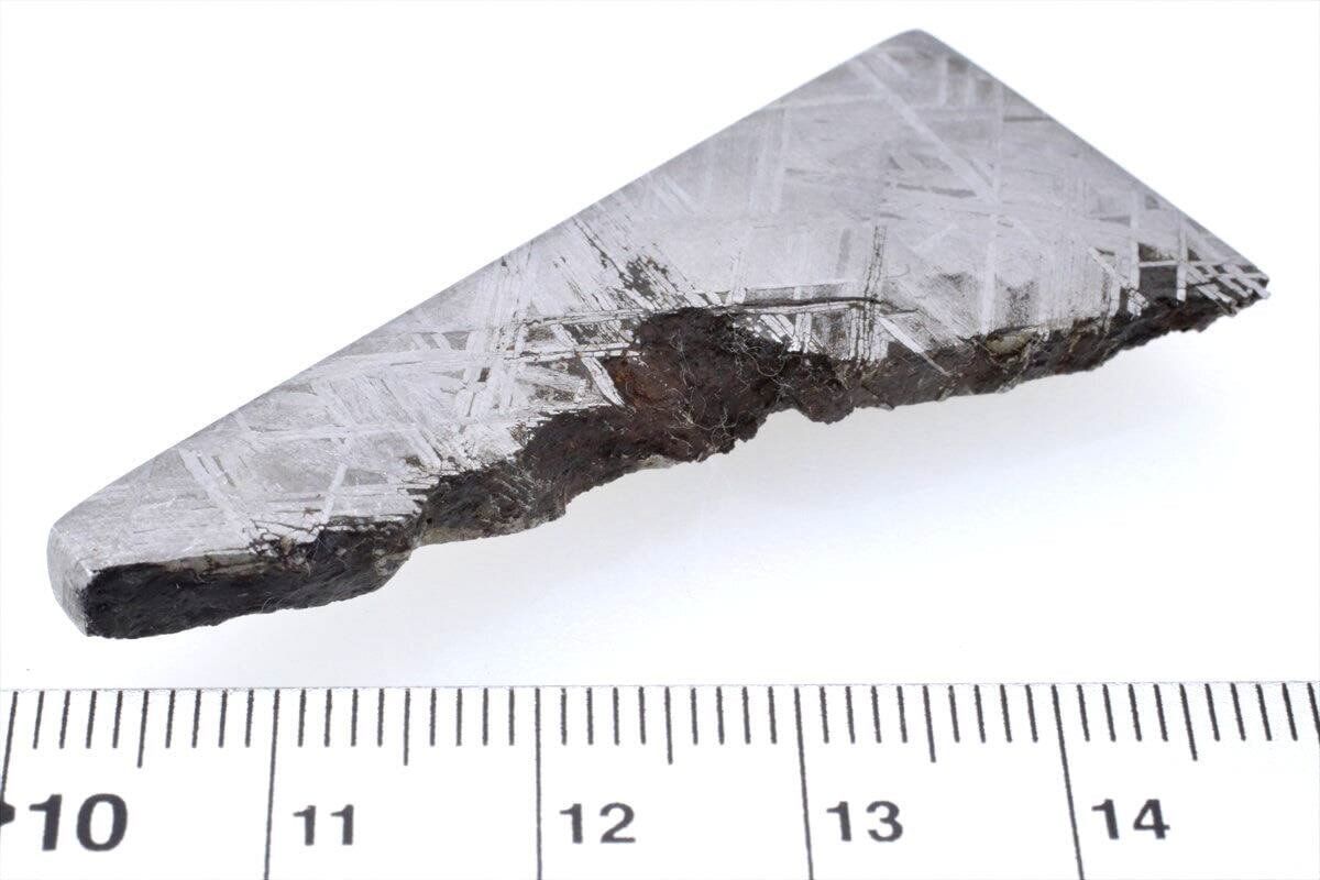 ムオニナルスタ ムオニオナルスタ 21g スライス カット 標本 隕石 