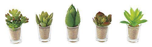 Kishima CT触媒 消臭アーティフィシャルグリーン リトルサキュレントファミリー KH-60989