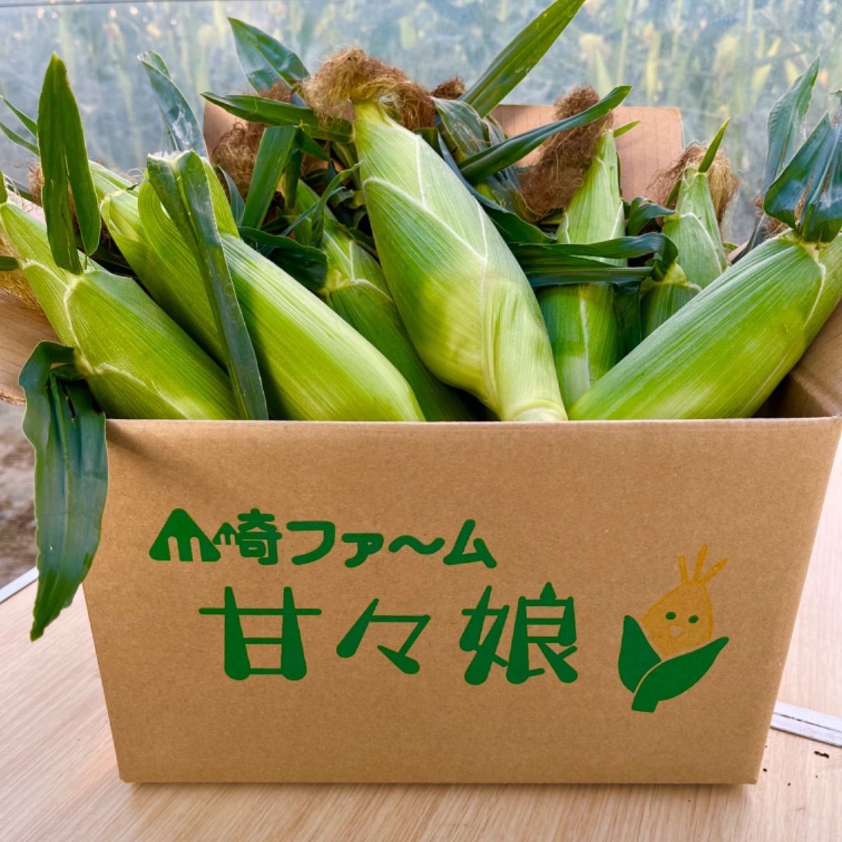 先行予約】静岡県森町産 遠州森のトウモロコシ『甘々娘』 朝採り 産地直送