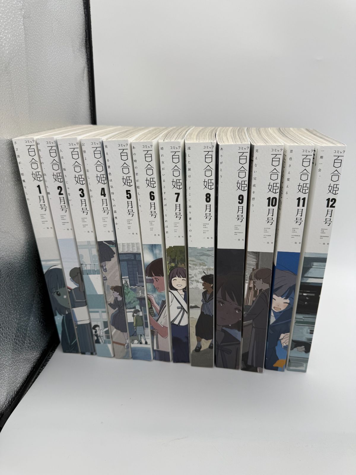 コミック百合姫 2023年1~12号まとめ売り M-0039 コミック 百合姫 2023年1~12号まとめ売り - メルカリ