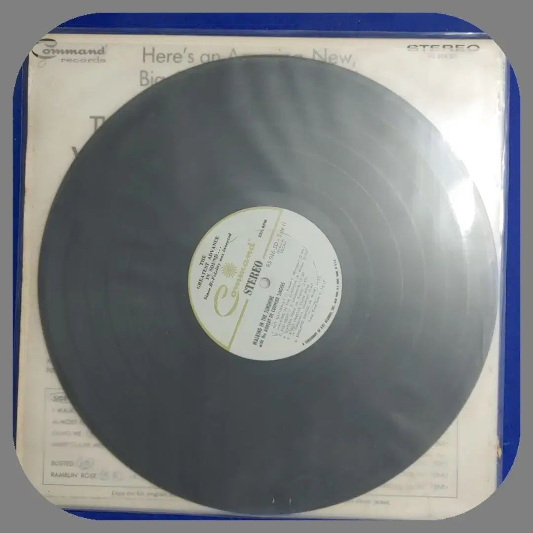 希少】煎茶道具 老松茶合 渡辺宗敬造 松月流 茶道 華道 木彫 木製 共