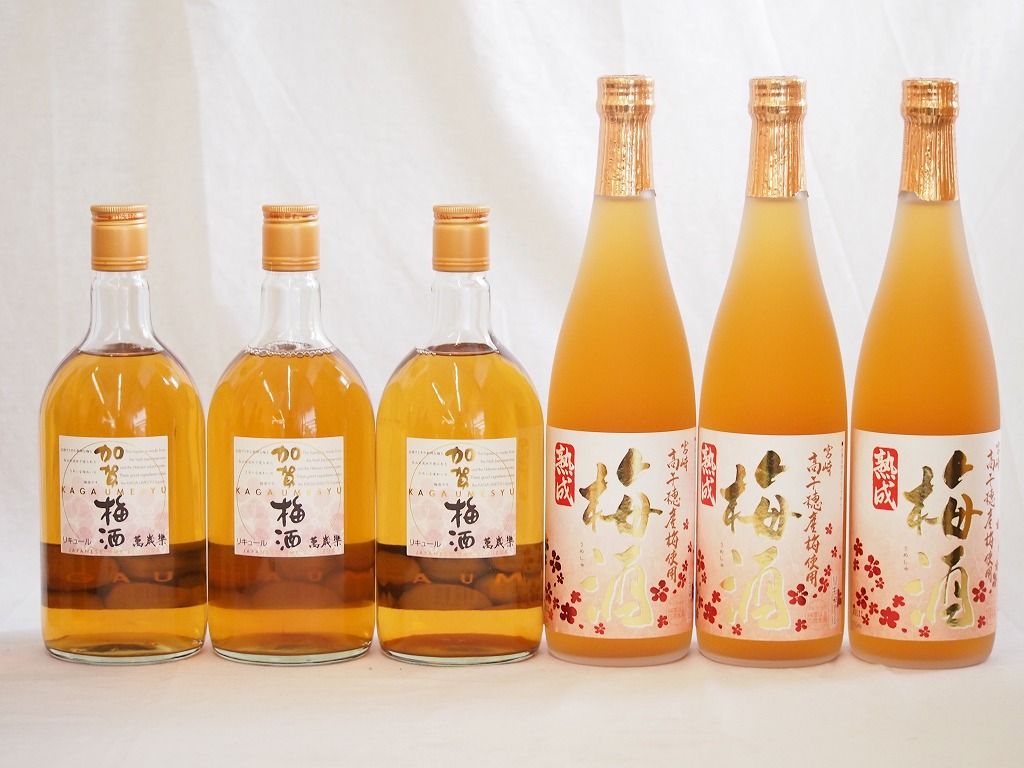 梅酒6本セット 加賀梅酒 石川県 高千穂産梅使用熟成梅酒 720ml×6本