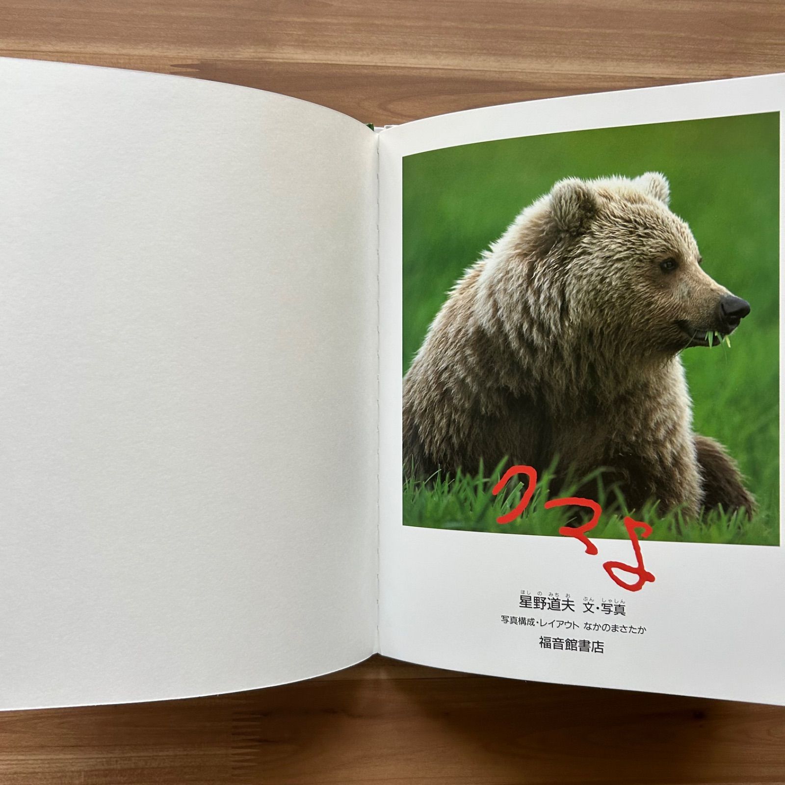 たくさんのふしぎ　アラスカ　クマよ　星野道夫　福音館 クマよ｜福音館書店