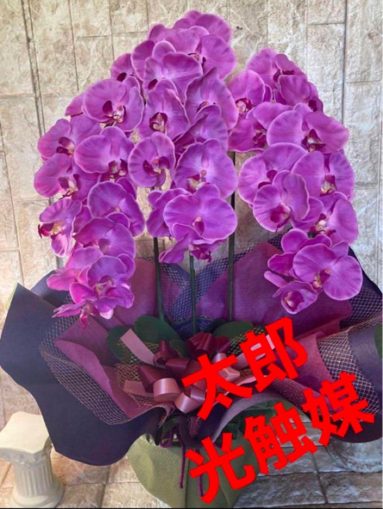 光触媒 人工観葉植物 ウォールグリーン フェイクグリーン 胡蝶蘭