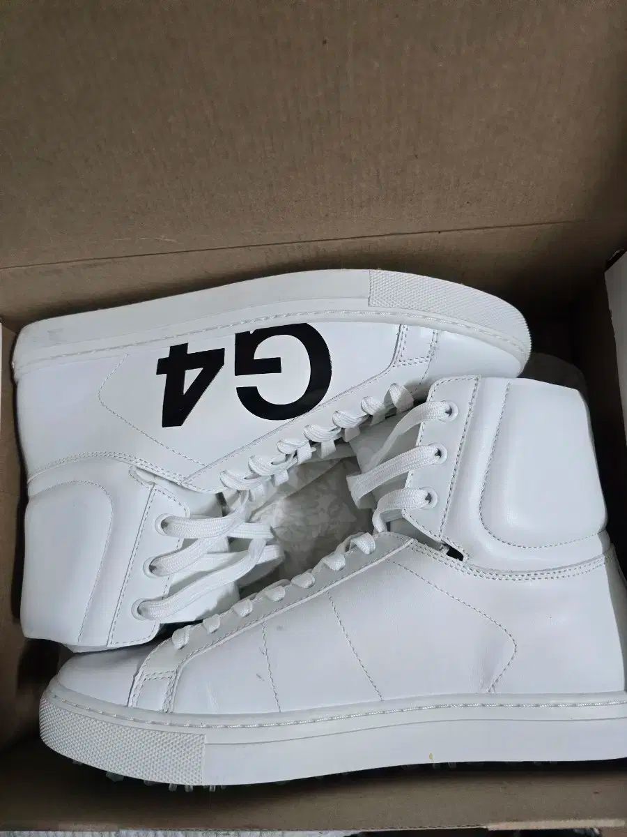 FORE ジーフォア