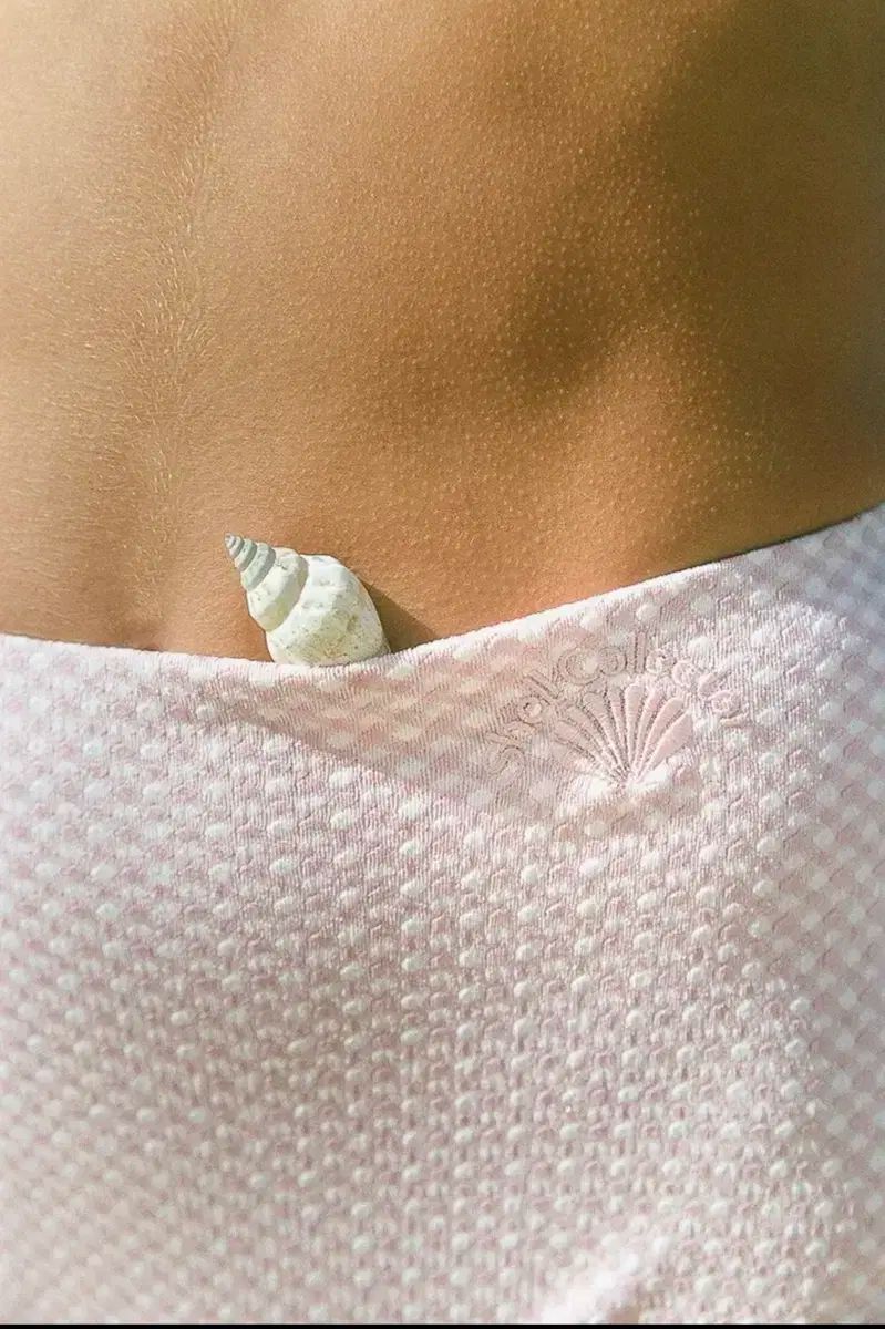 シェルコレクター アイビー