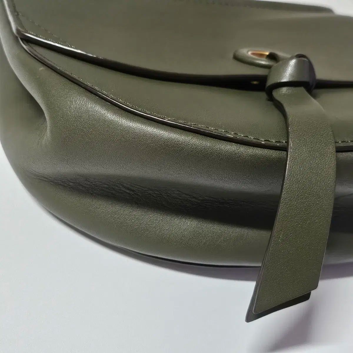 クレバー サドルバック