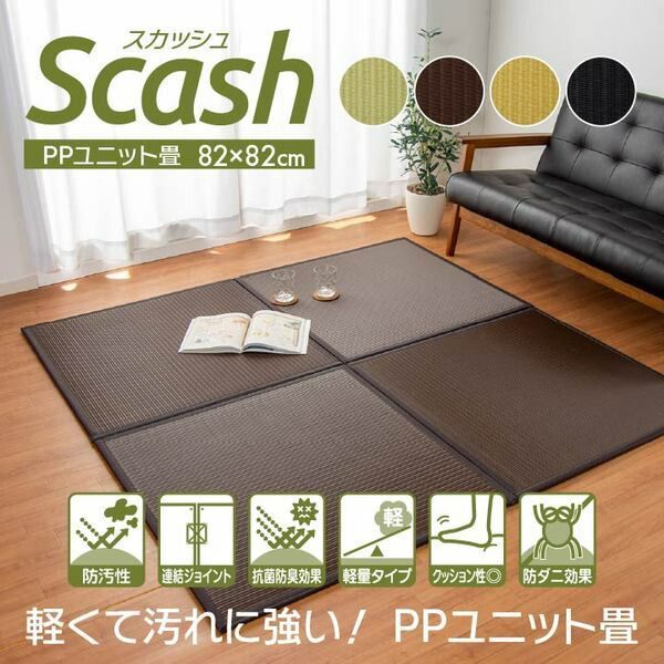約 スカッシュ