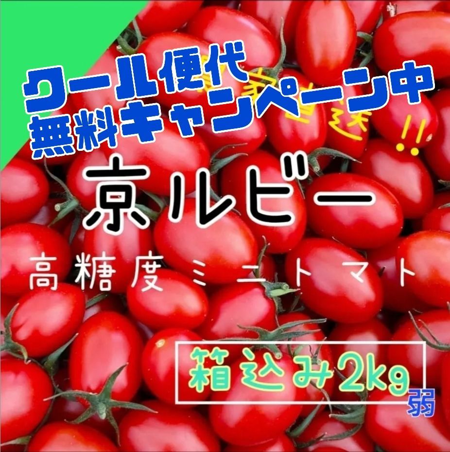 京ルビー2kg弱】高糖度フルーツミニトマト 箱込み2㎏弱 - トマリエ