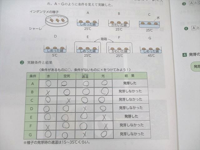浜学園 小5 サイエンス理科 要点のまとめ/問題編/解答・解説 第1～4