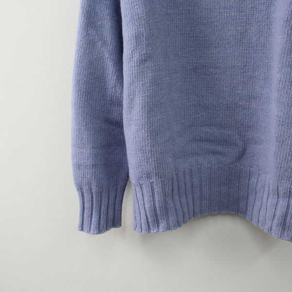 トップス slobe iena タグ付 2021AW SLOBE IENA スローブイエナ SUPER GEELONG