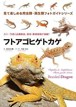 【品質保証，人気SALE】 【中古】 フトアゴヒゲトカゲ (見て楽しめる爬虫類・両生類フォトガイドシリーズ) その他
