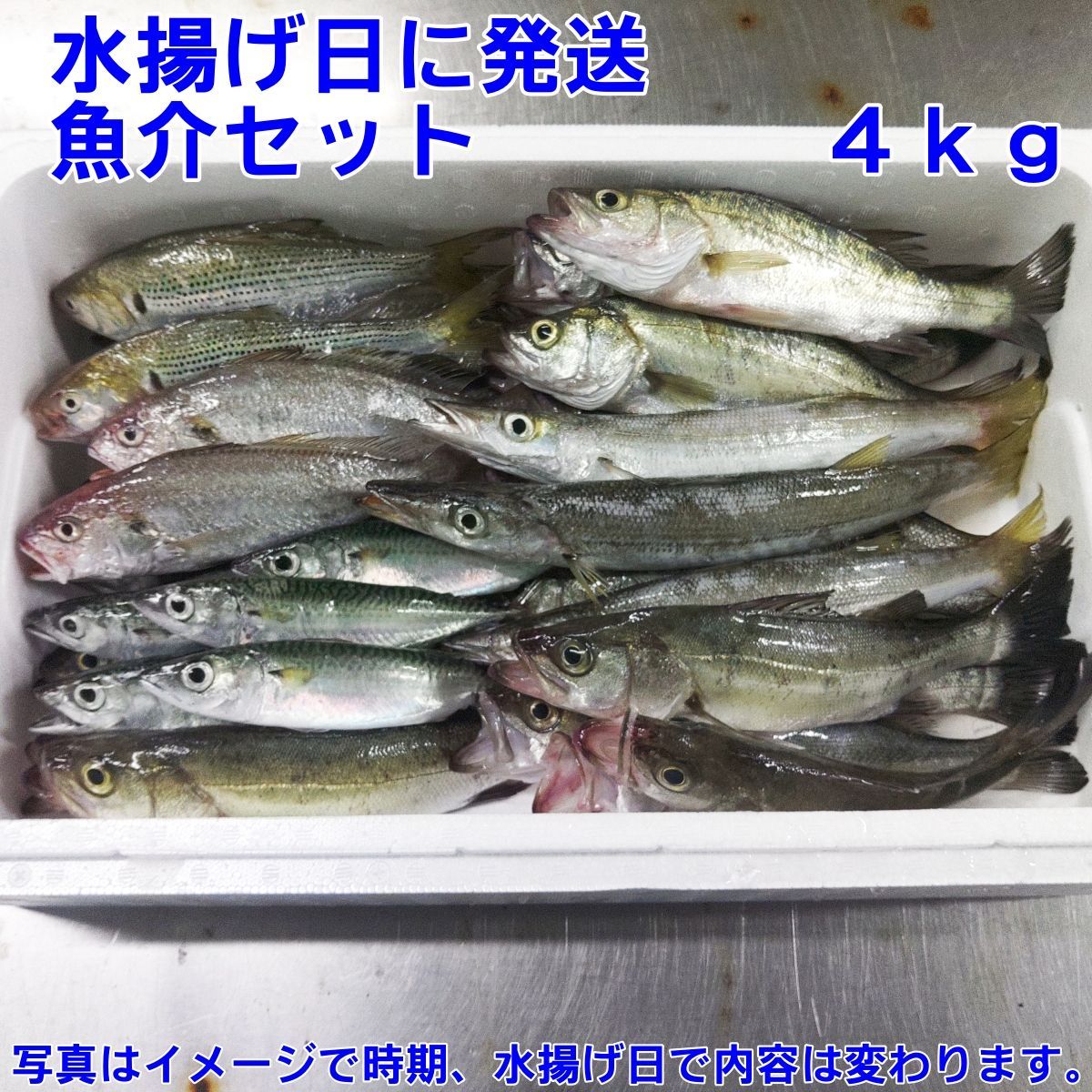 未利用魚セット：４〜５キロ相当 勿体ない