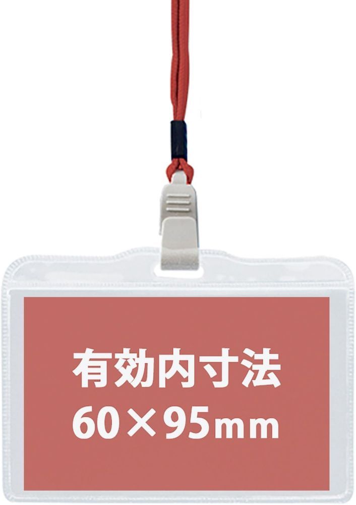 10個入