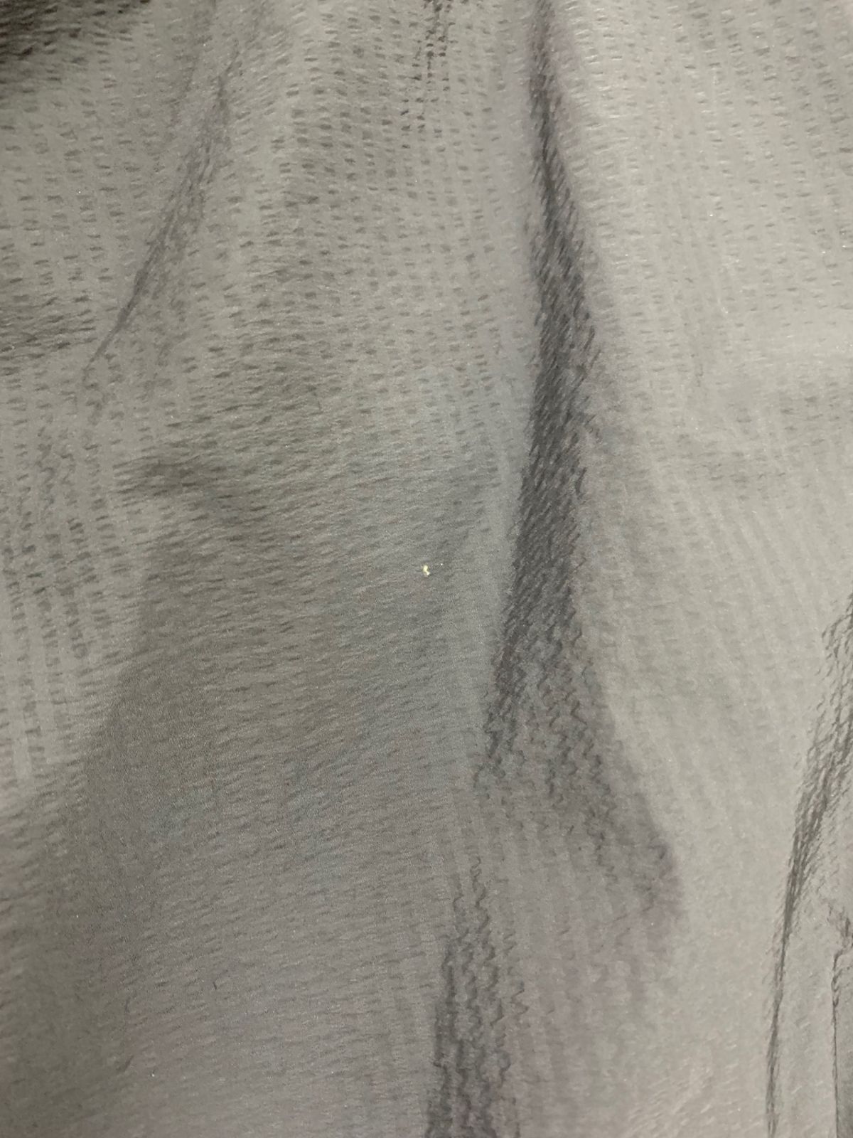 シートーキョー Georgiaフ